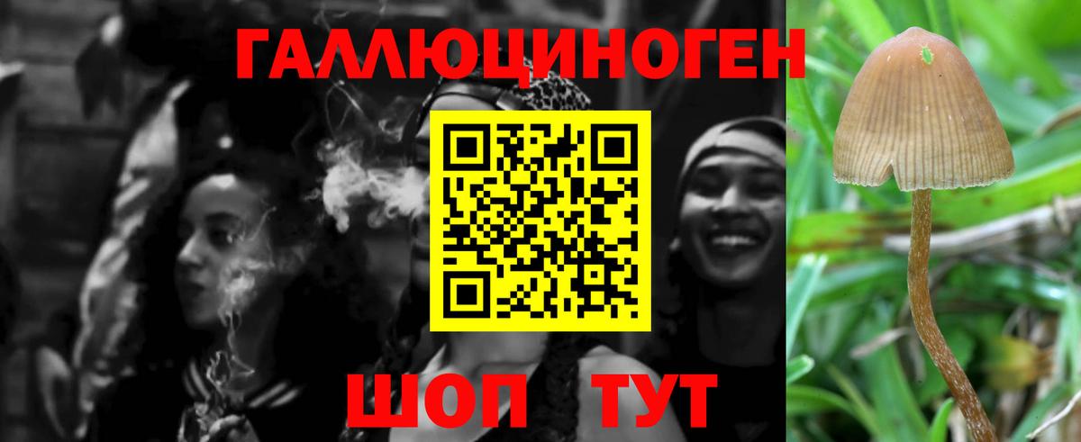 Псилоцибиновые грибы мухоморы  Вход с VPN  Коркино 